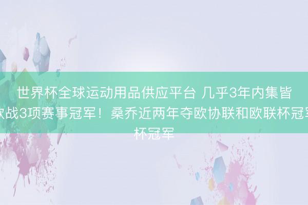 世界杯全球运动用品供应平台 几乎3年内集皆欧战3项赛事冠军！桑乔近两年夺欧协联和欧联杯冠军