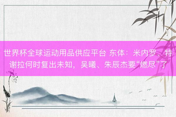 世界杯全球运动用品供应平台 东体：米内罗、特谢拉何时复出未知，吴曦、朱辰杰要“燃尽”了