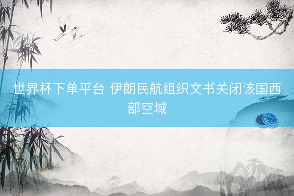 世界杯下单平台 伊朗民航组织文书关闭该国西部空域