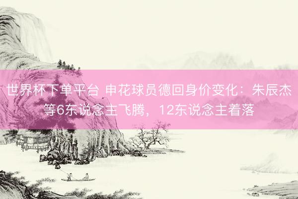 世界杯下单平台 申花球员德回身价变化:朱辰杰等6东说念主飞腾,12东说念主着落