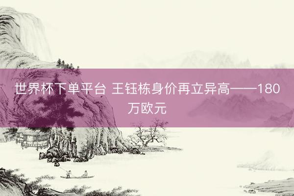 世界杯下单平台 王钰栋身价再立异高——180万欧元