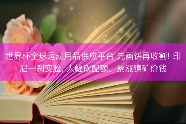 世界杯全球运动用品供应平台 先画饼再收割! 印尼一刹变脸， 大幅砍配额、暴涨镍矿价钱