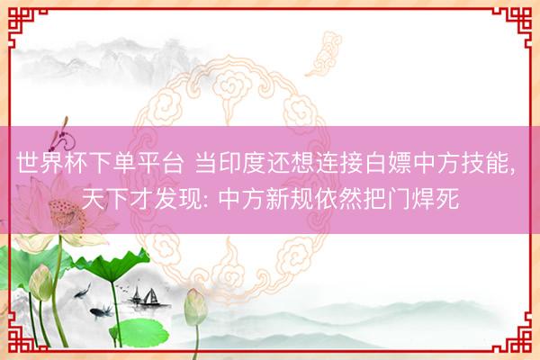 世界杯下单平台 当印度还想连接白嫖中方技能， 天下才发现: 中方新规依然把门焊死