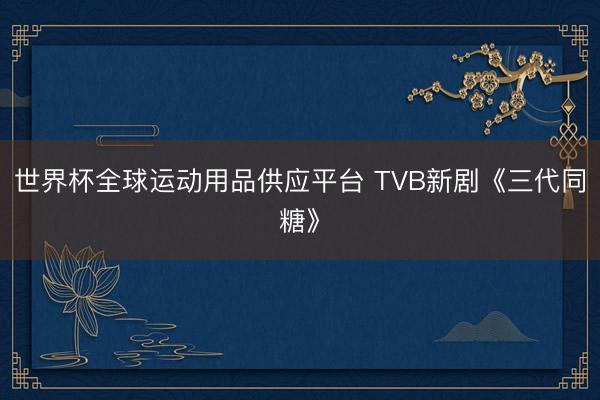 世界杯全球运动用品供应平台 TVB新剧《三代同糖》